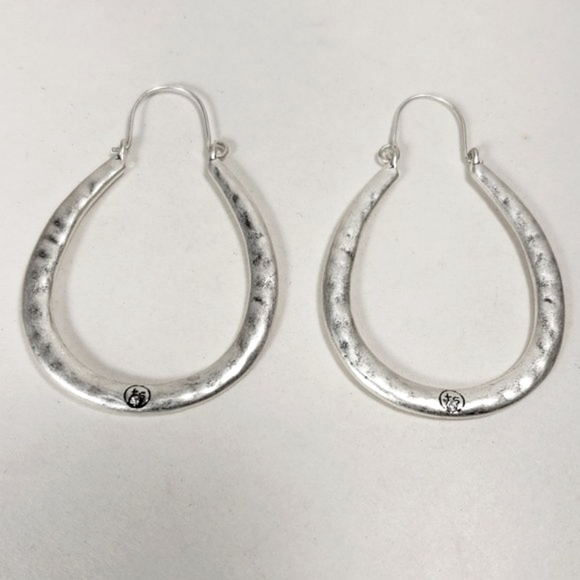 Women's Stunning Hammered Silver-tone Hook Earrings with Crystal - Picture 1 of 9